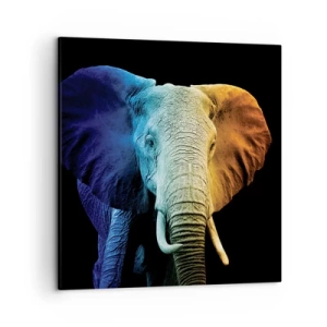 Bild auf Leinwand - Leinwandbild - Exzentrisch, kein Verrückter - 50x50 cm