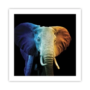 Poster - Exzentrisch, kein Verrückter - 50x50 cm