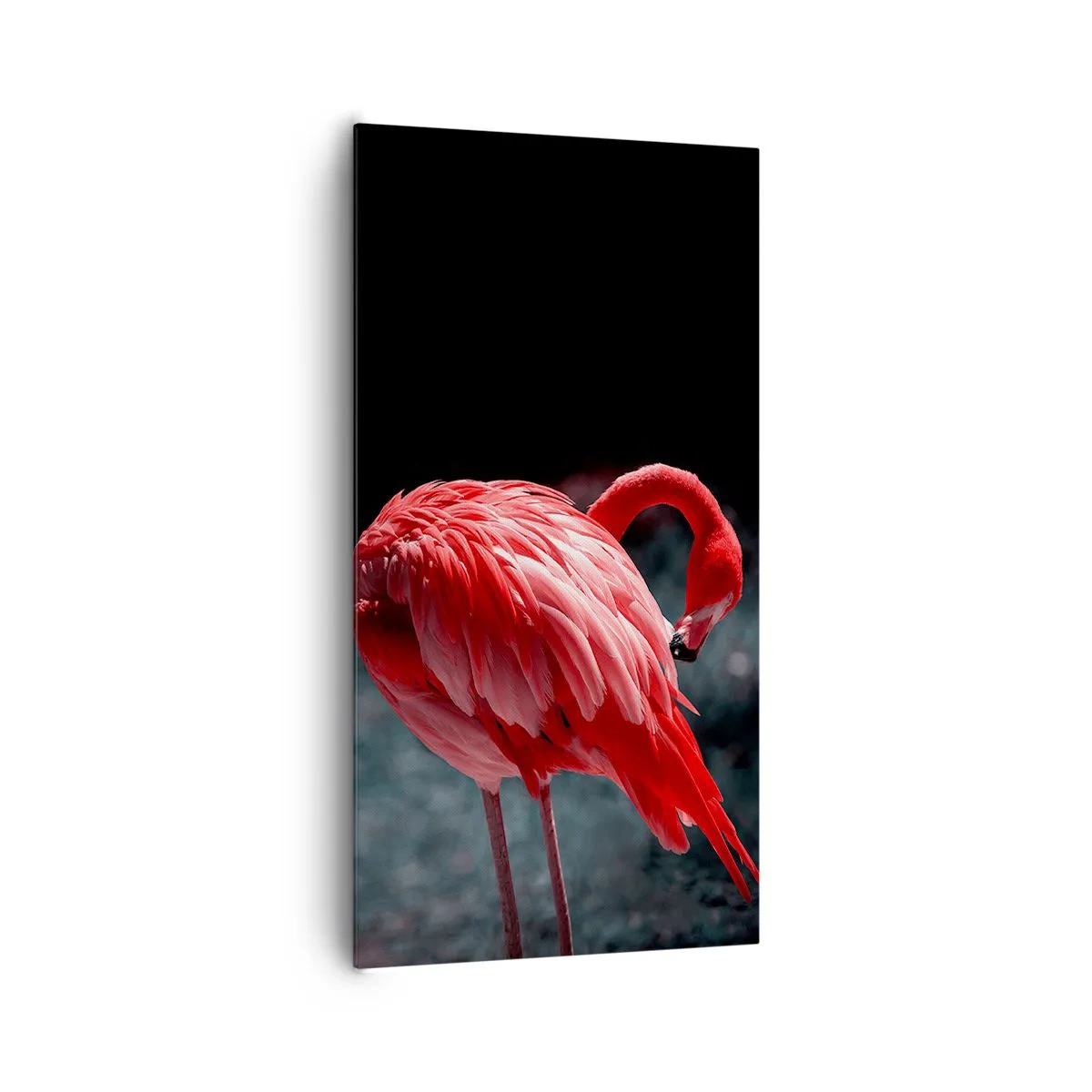 Bild auf Leinwand - Leinwandbild - Ein purpurrotes Gedicht der Natur - 65x120 cm