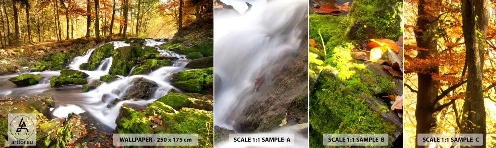 Fototapetenmuster Standard Eco - Rasch durch den herbstlichen Wald - Landschaft, Wald, Gebirgsbach - 100x30 cm