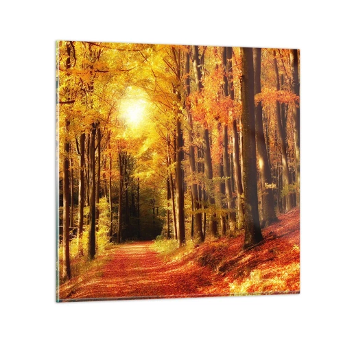 Glasbild - Bild auf glas - Goldener Herbst auf einer Forststraße - 30x30 cm