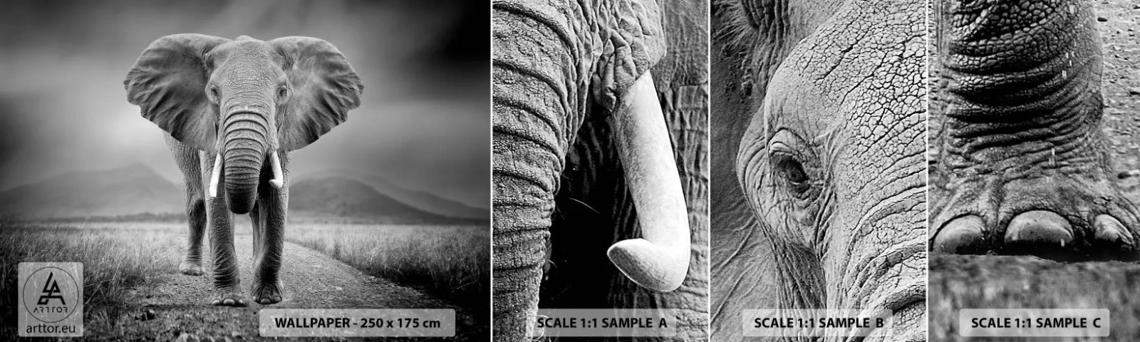 Fototapetenmuster Standard Eco - Der Gastgeber heißt willkommen - Elefant, Tiere, Landschaft - 100x30 cm