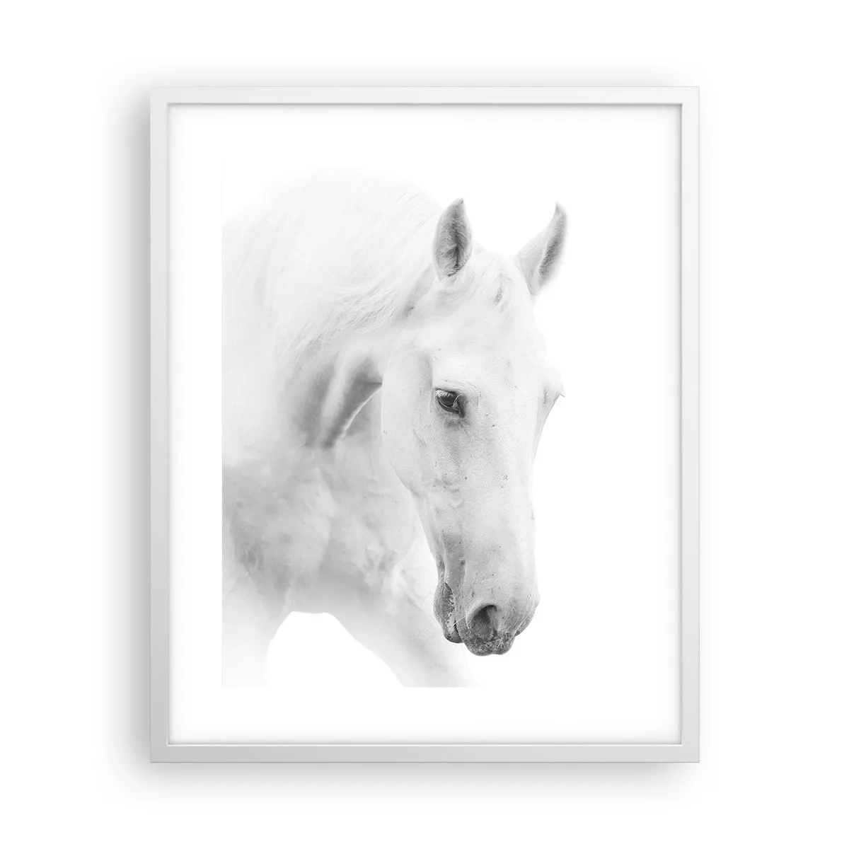 Poster in einem weißen Rahmen - Ist das Freundschaft...? - 40x50 cm