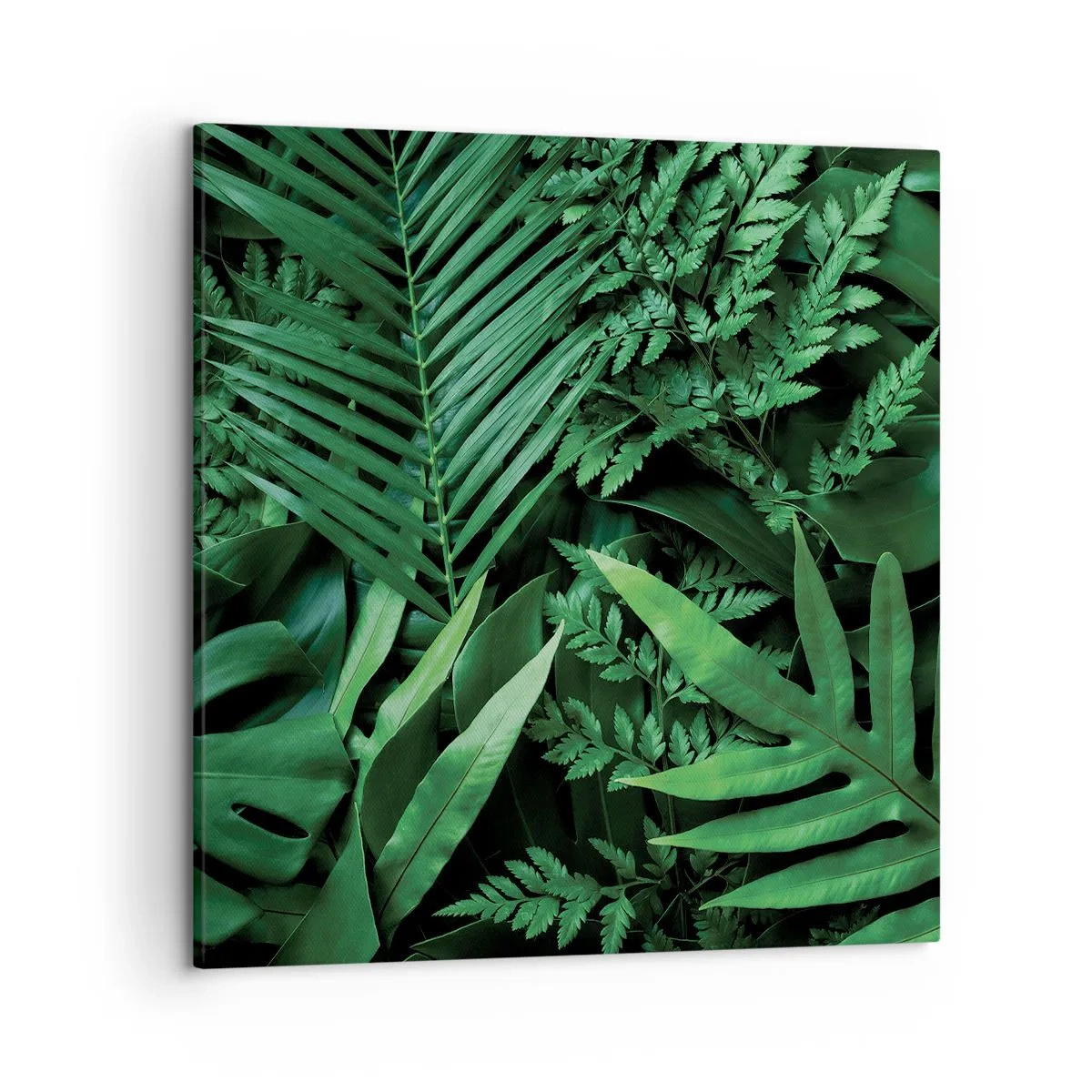 Bild auf Leinwand - Leinwandbild - Eingebettet ins Grüne - 50x50 cm