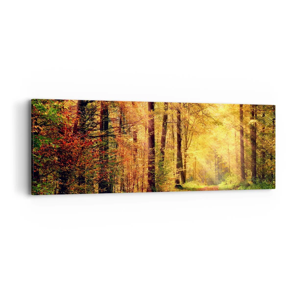Bild auf Leinwand - Leinwandbild - Waldgoldene Stille - 90x30 cm