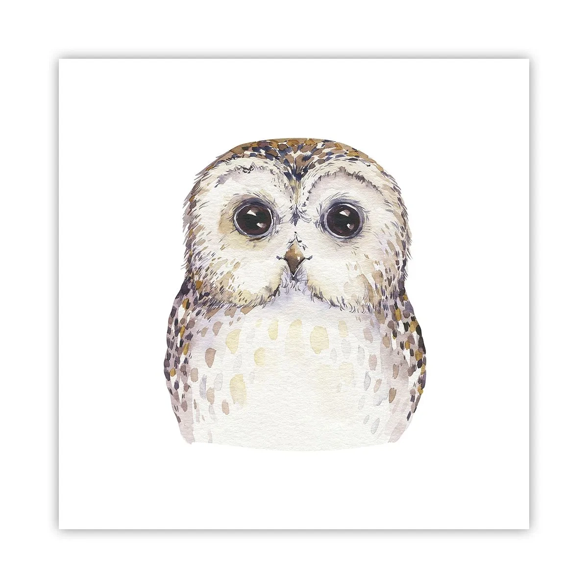 Poster - Schau mir in die Augen - 50x50 cm