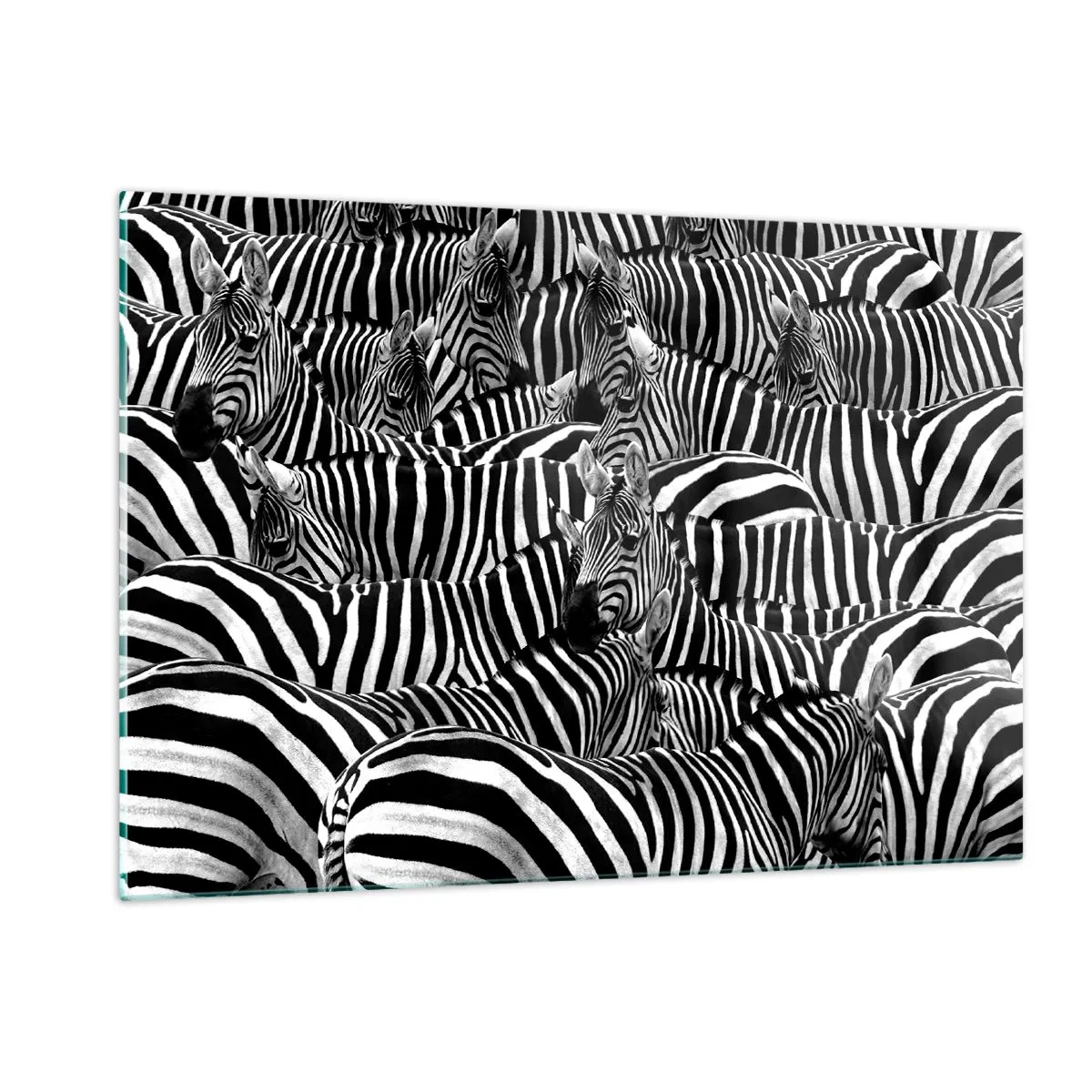 Glasbild - Bild auf glas - Eine Herde Zebras in Monochrom - 120x80cm - Gestreiftes Gruppenportrait - Moderne Wanddekoration für Wohnzimmer und Schlafzimmer ARTTOR