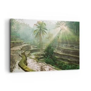 Bild auf Leinwand - Leinwandbild - Reisterrassen mit Palmen in den Sonnenstrahlen - 120x80cm - In der Sonne aufwachsen - Moderne Wanddekoration für Wohnzimmer und Schlafzimmer ARTTOR