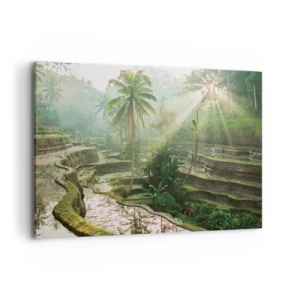 Bild auf Leinwand - Leinwandbild - Reisterrassen mit Palmen in den Sonnenstrahlen - 100x70cm - In der Sonne aufwachsen - Moderne Wanddekoration für Wohnzimmer und Schlafzimmer ARTTOR