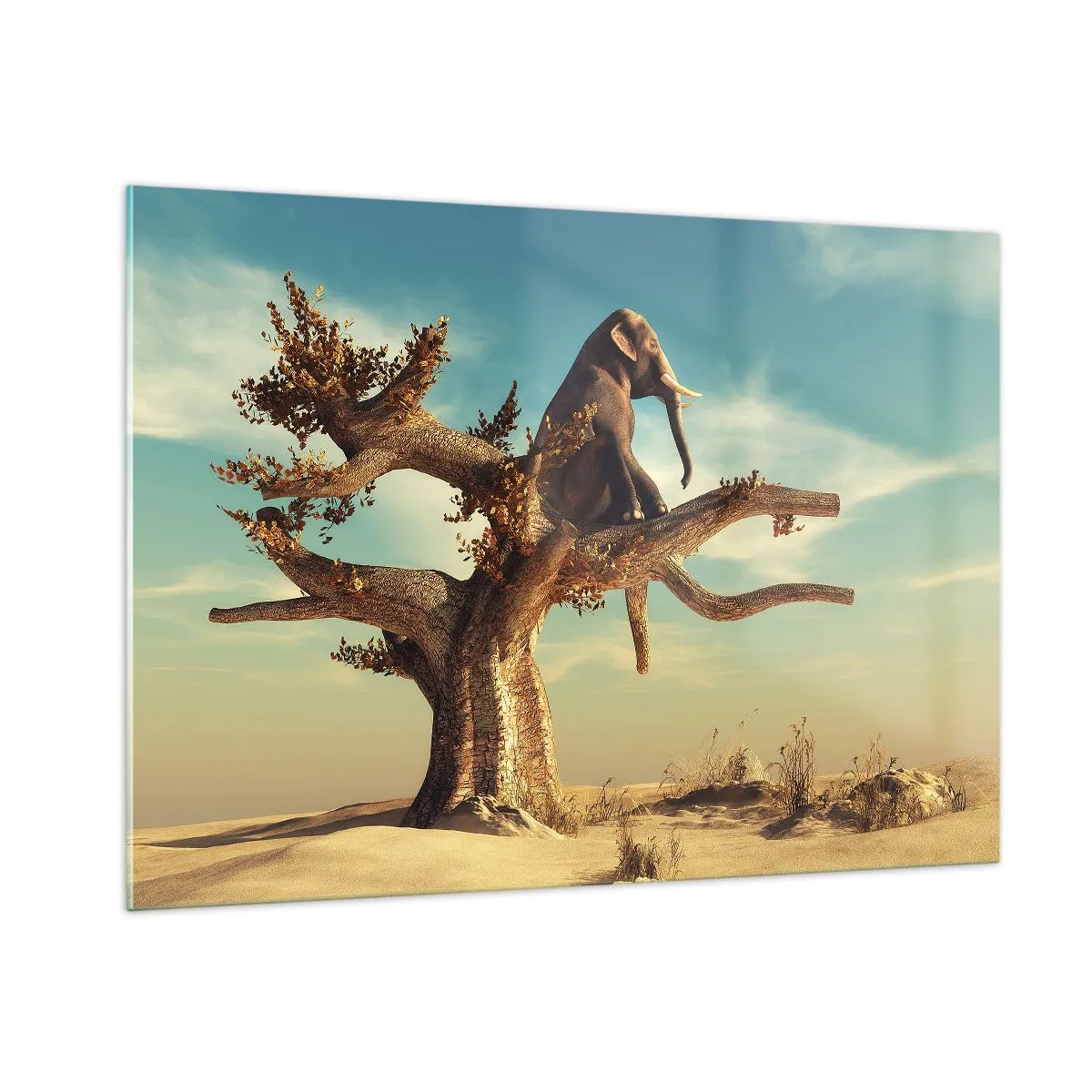 Glasbild - Bild auf glas - Ein Elefant sitzt auf einem Baum vor einem Wüstenhintergrund - 100x70cm - Ein neuer Standpunkt - Moderne Wanddekoration für Wohnzimmer und Schlafzimmer ARTTOR