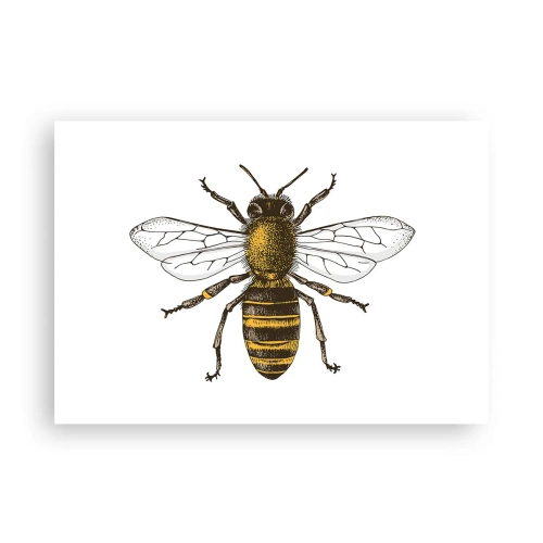Poster - Detaillierte Darstellung einer Biene auf weißem Hintergrund - 100x70cm - Schön und gut - Moderne Wanddekoration für Wohnzimmer und Schlafzimmer ARTTOR