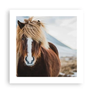 Poster - Spürst du die Freiheit? - 40x40 cm