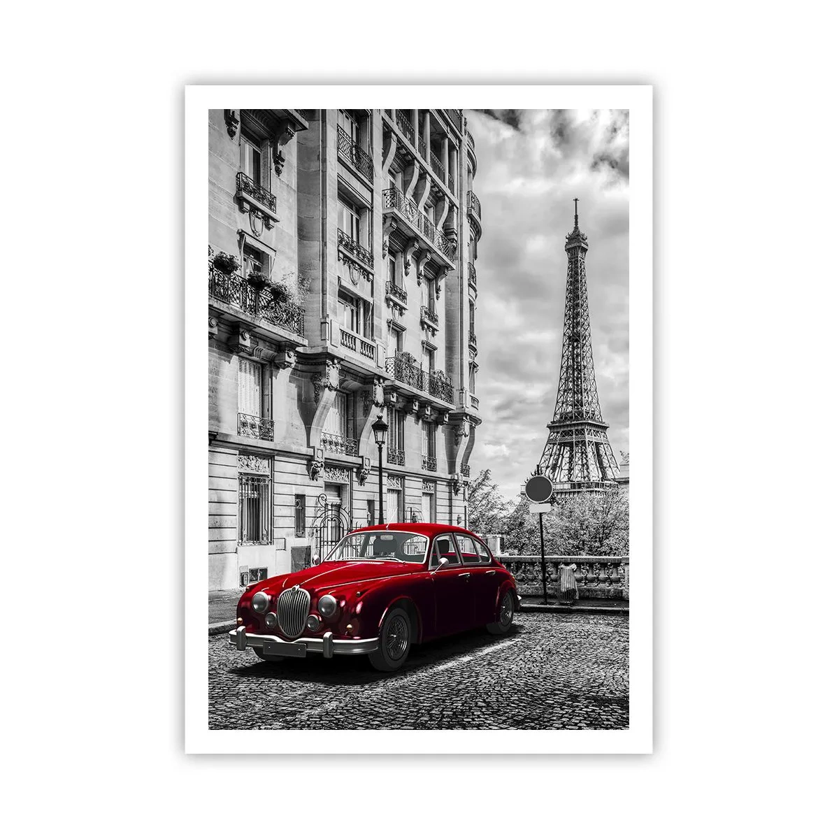 Poster - Raubtier in der Stadt - 70x100 cm