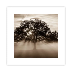 Poster - Baum der guten Nachrichten  - 30x30 cm