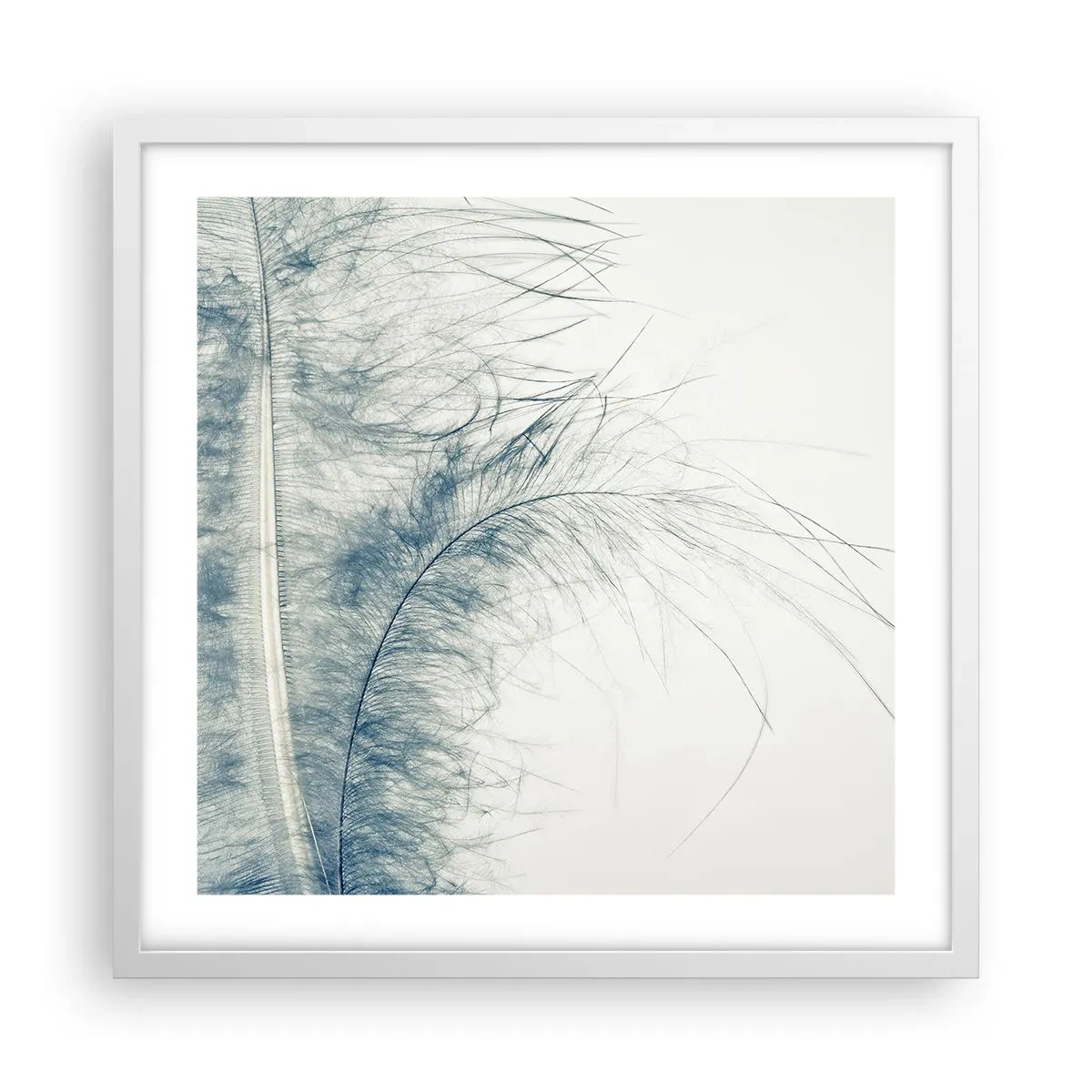 Poster in einem weißen Rahmen - Flüstern der Natur - 50x50 cm