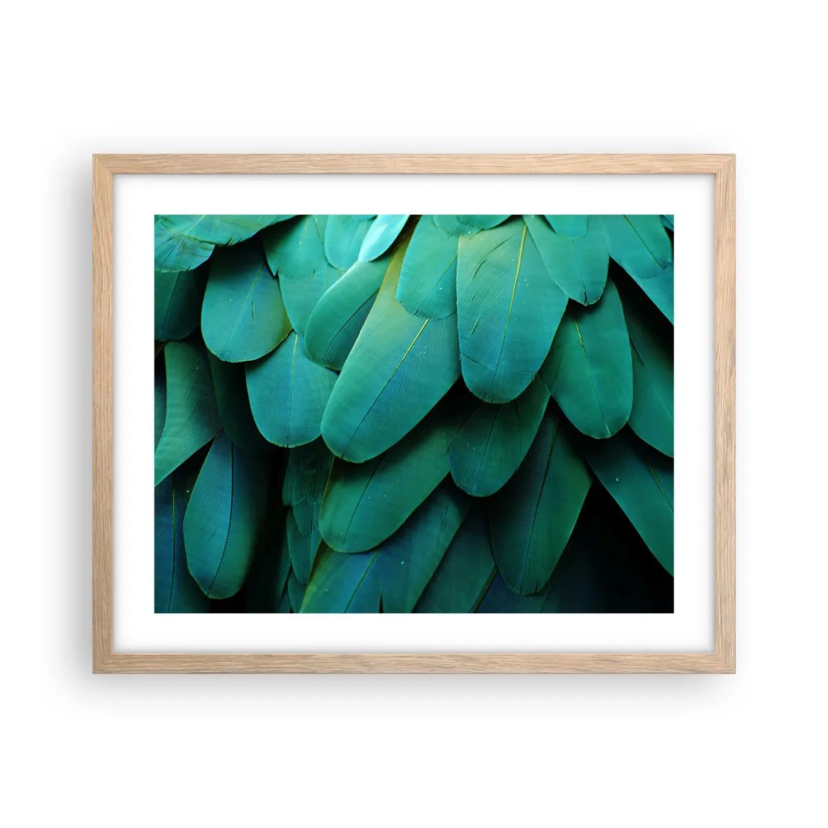 Poster in einem Rahmen aus heller Eiche - Papageienartige Präzision - 50x40 cm
