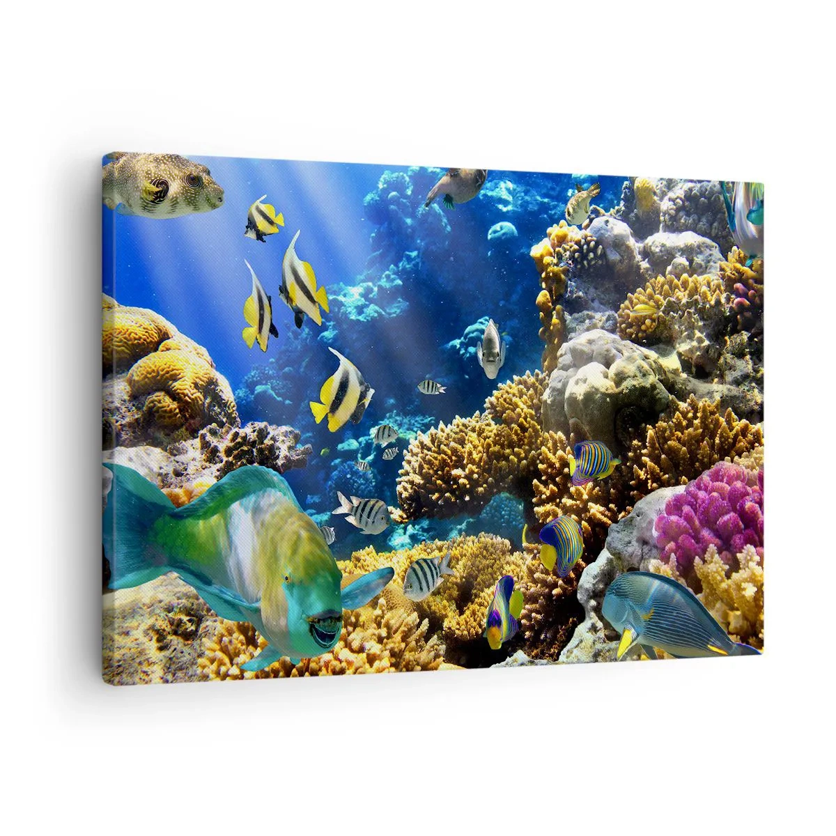 Bild auf Leinwand - Leinwandbild - Ein farbenfrohes Korallenriff mit tropischen Fischen in den Tiefen des Ozeans. - 70x50cm - Viel Verkehr auf dem Ferienweg - Moderne Wanddekoration für Wohnzimmer und Schlafzimmer ARTTOR