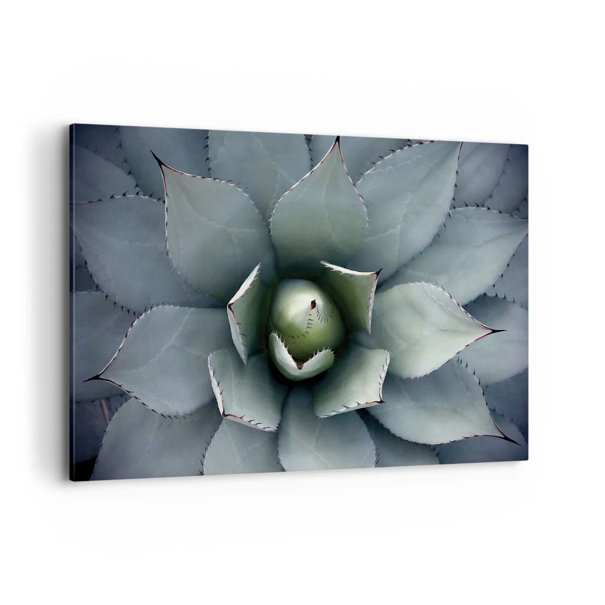 Bild auf Leinwand - Leinwandbild - Nahaufnahme einer Agavenrosette in zarten Grüntönen - 100x70cm - Es lockt an und warnt - Moderne Wanddekoration für Wohnzimmer und Schlafzimmer ARTTOR