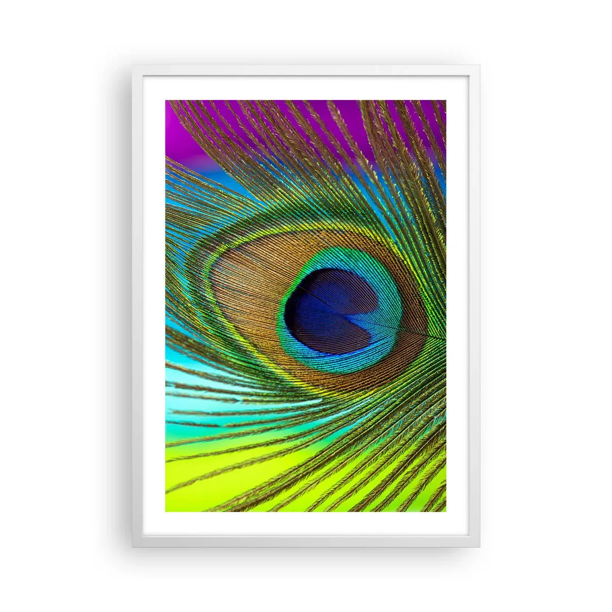 Poster in einem weißen Rahmen - Auge in Auge - 50x70 cm