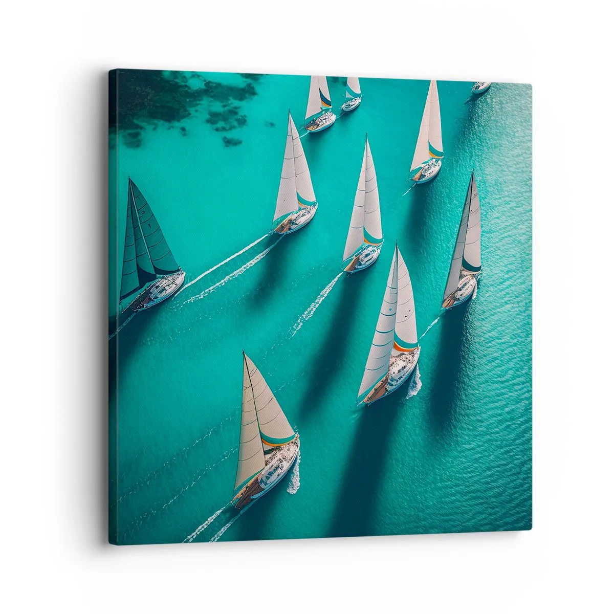 Bild auf Leinwand - Leinwandbild - Im Wettbewerb mit dem Wind - 30x30 cm