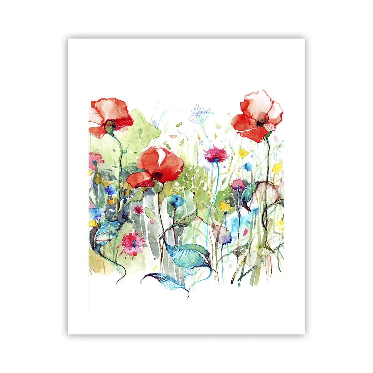 Poster - Blühende Maiwiese - 40x50 cm