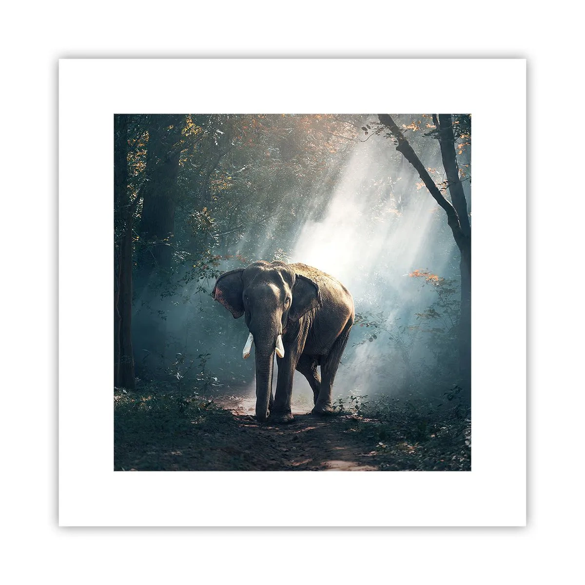 Poster - Ein gemütlicher Spaziergang - 30x30 cm