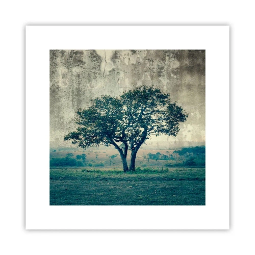 Poster - Ein Apfelbaum auf blauem Feld? - 30x30 cm