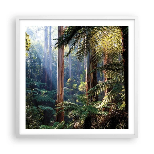 Poster in einem weißen Rahmen - Ein Waldmärchen - 60x60 cm