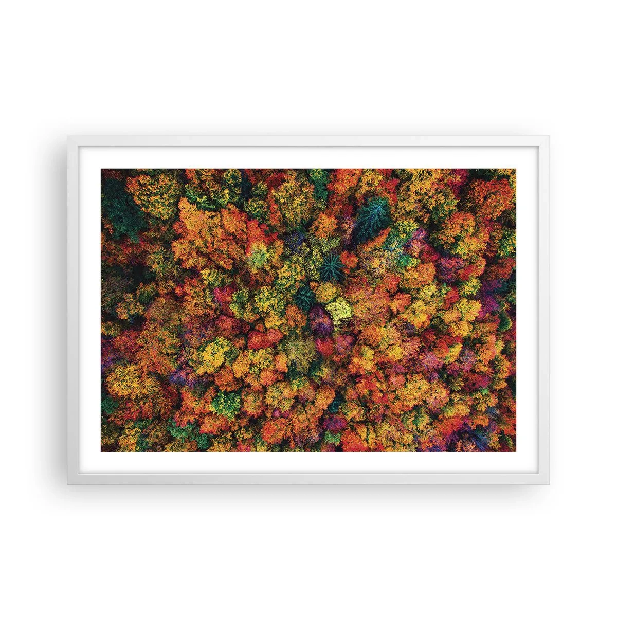 Poster in einem weißen Rahmen - Blumenstrauß aus Herbstbäumen - 70x50 cm