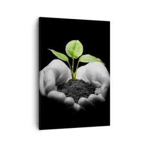 Bild auf Leinwand - Leinwandbild - Hände halten eine grüne Pflanze auf schwarzem Hintergrund - 50x70cm - Ich liebe die Natur, ich beschütze sie - Moderne Wanddekoration für Wohnzimmer und Schlafzimmer ARTTOR
