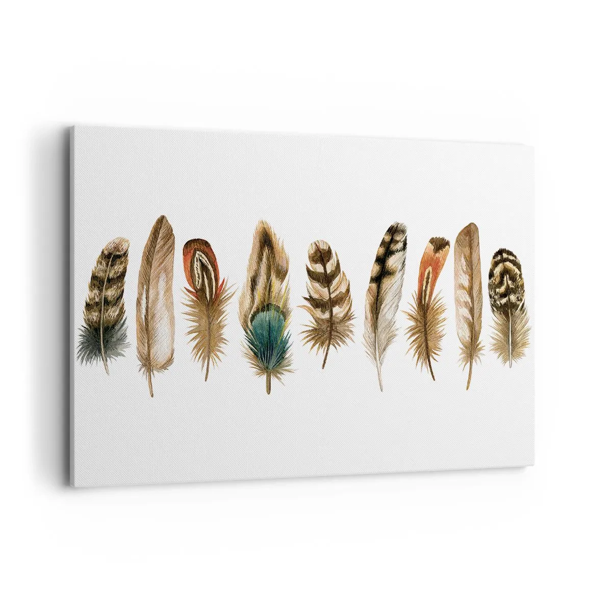 Bild auf Leinwand - Leinwandbild - Dekoratives Motiv einer Sammlung verschiedener Federn - 100x70cm - Eine federleichte Variante - Moderne Wanddekoration für Wohnzimmer und Schlafzimmer ARTTOR