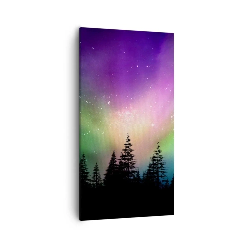 Bild auf Leinwand - Leinwandbild - weiße Magie - 55x100 cm