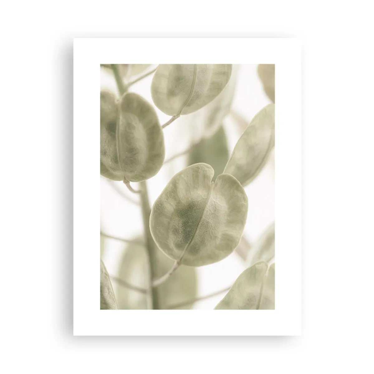 Poster - Am Anfang waren Blätter... - 30x40 cm