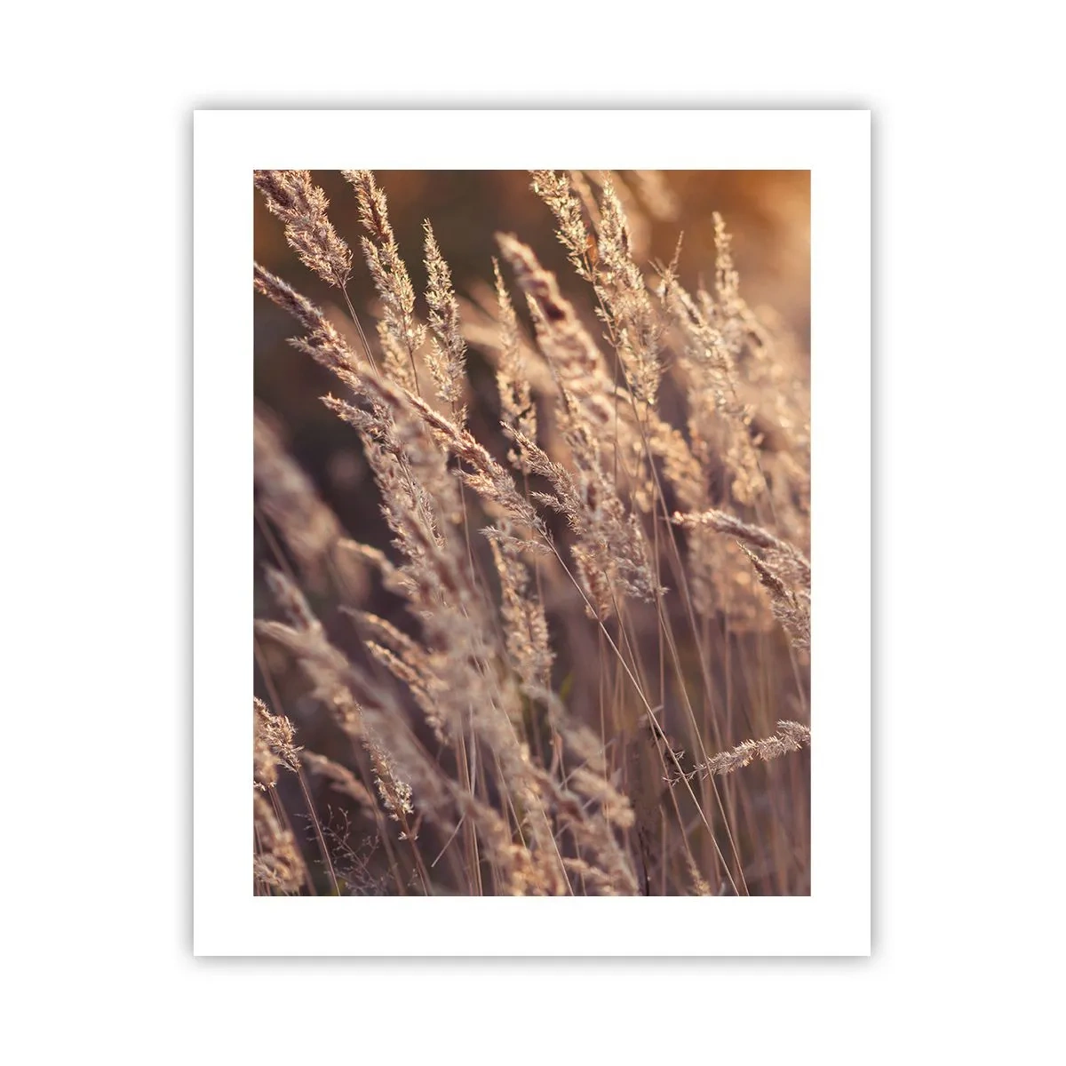 Poster - Bereit, den Herbst willkommen zu heißen - 40x50 cm