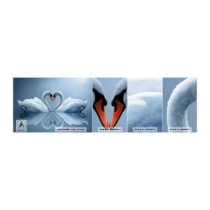 Fototapeten Muster Selbstklebend Deluxe Sticker - Zeit für die Liebe - Schwäne, Liebe, Herz - 100x30 cm