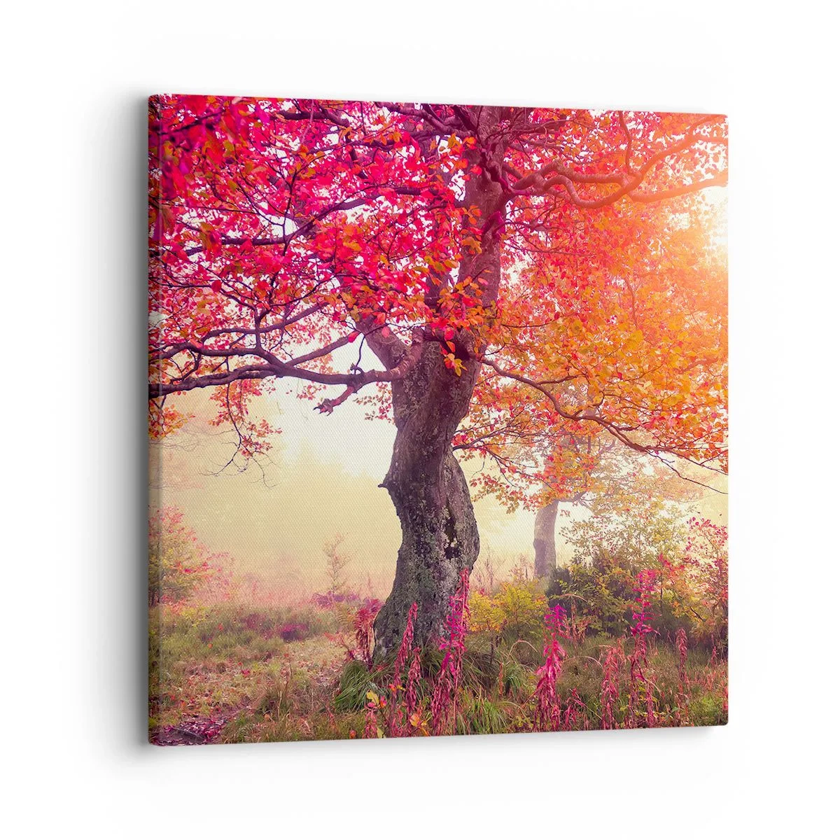 Bild auf Leinwand - Leinwandbild - Blühende Raserei - 30x30 cm