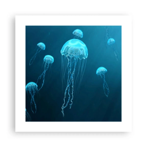 Poster - Ozeantanz - 40x40 cm