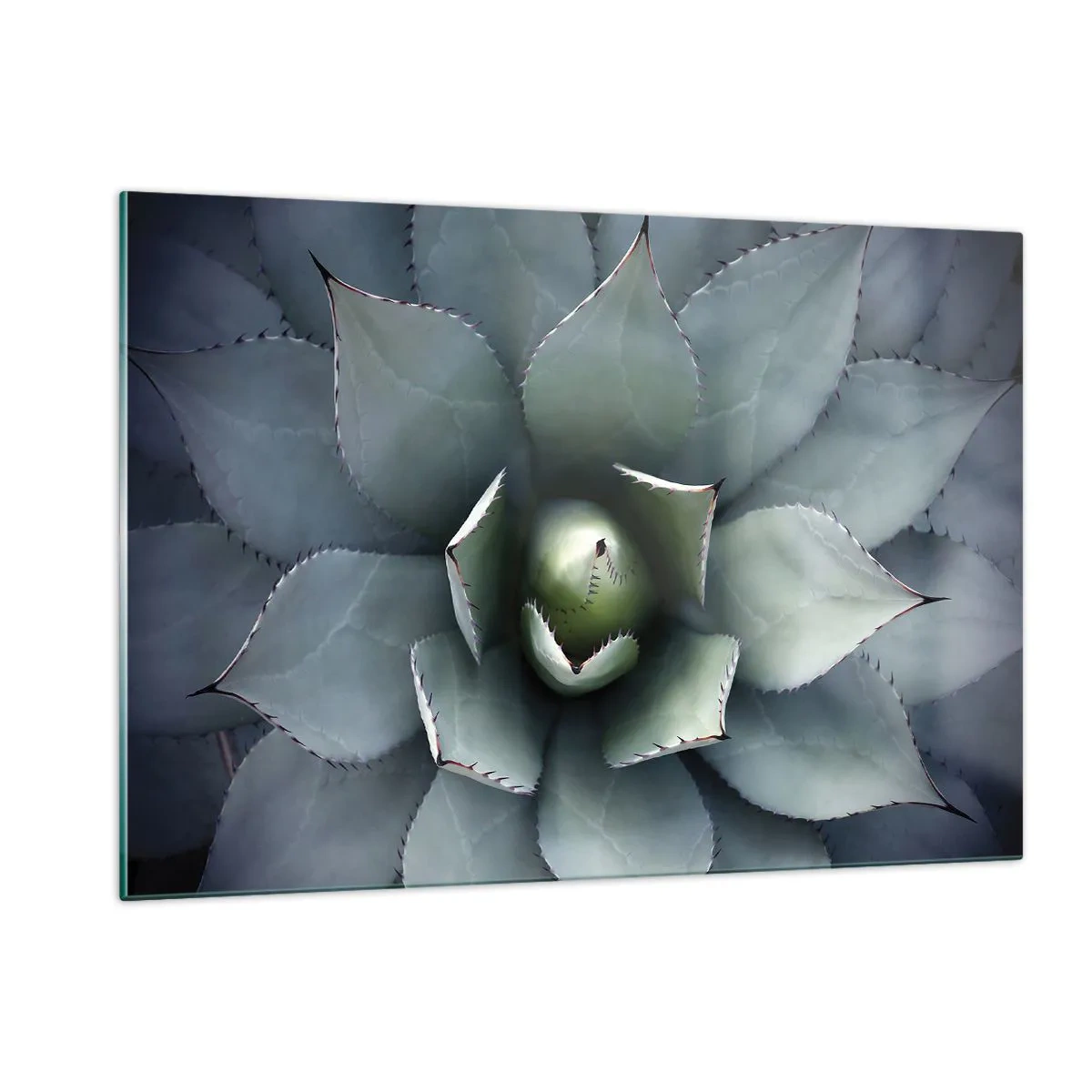 Glasbild - Bild auf glas - Eine Nahaufnahme der symmetrischen, stahlfarbenen Agavenblätter. - 120x80cm - Es lockt an und warnt - Moderne Wanddekoration für Wohnzimmer und Schlafzimmer ARTTOR