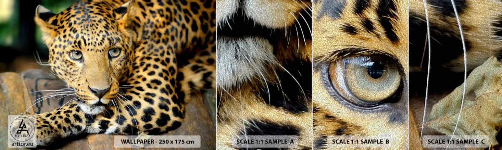 Fototapeten Muster Premium Sand - Keine Angst, komm mal her - Tiere, Panther, Wilde Katze - 100x30 cm