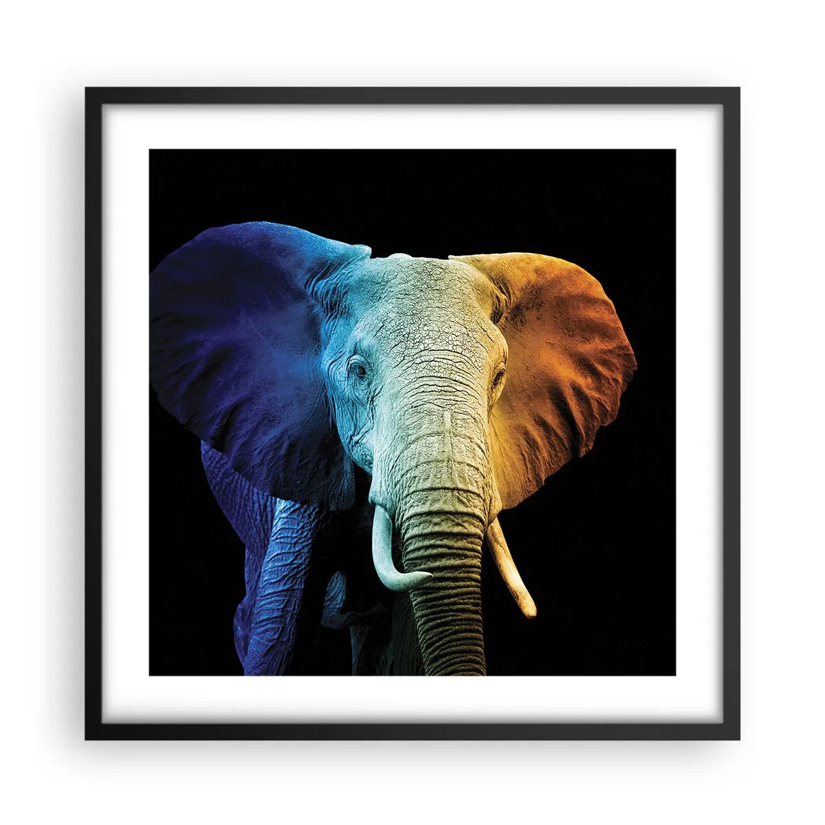 Poster in einem schwarzem Rahmen - Exzentrisch, kein Verrückter - 50x50 cm