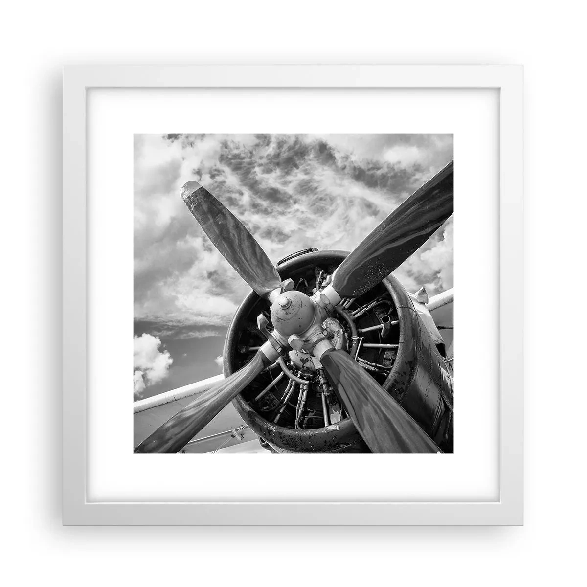 Poster in einem weißen Rahmen - Eroberer der Lüfte - 30x30 cm