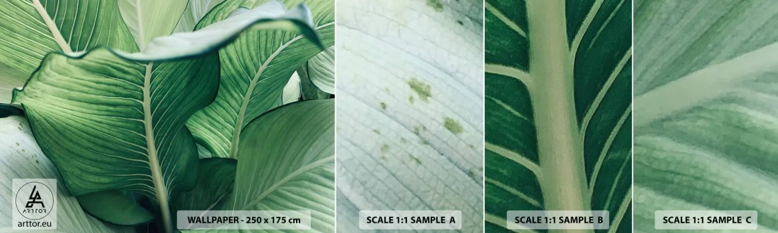 Fototapetenmuster Standard Eco - Intensiv grünes Leben - Blätter, Exotisch, Botanisch - 100x30 cm