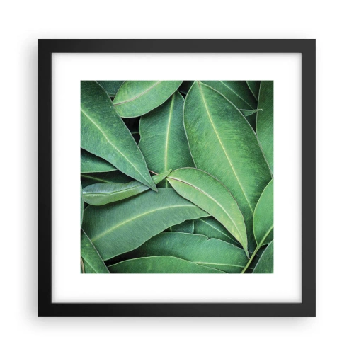 Poster in einem schwarzem Rahmen - Saftig und frisch - 30x30 cm