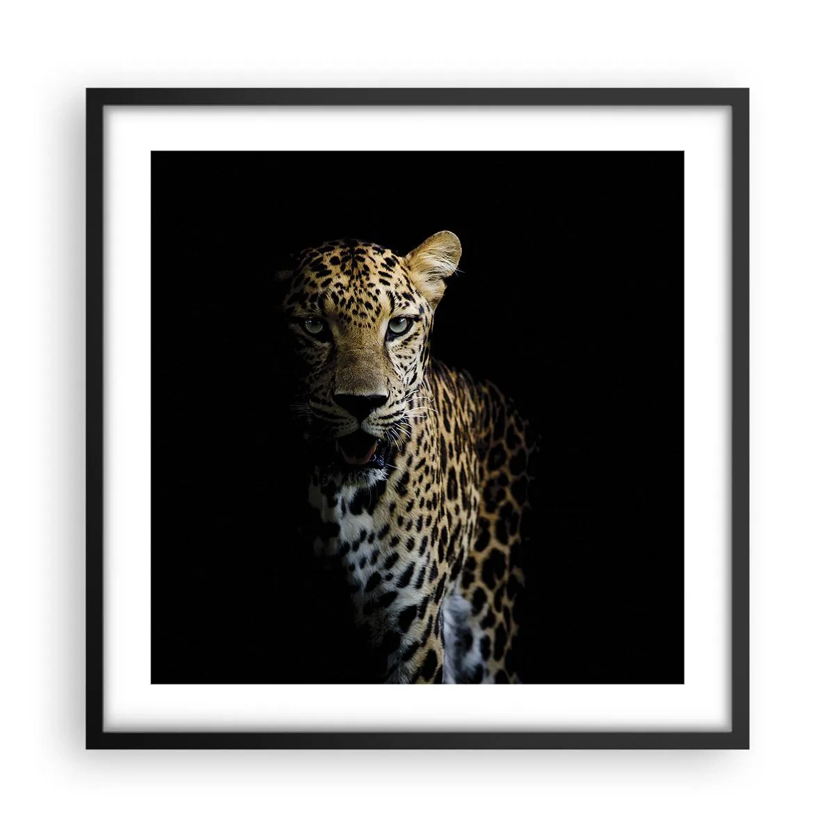 Poster in einem schwarzem Rahmen - Dunkle Schönheit - 50x50 cm