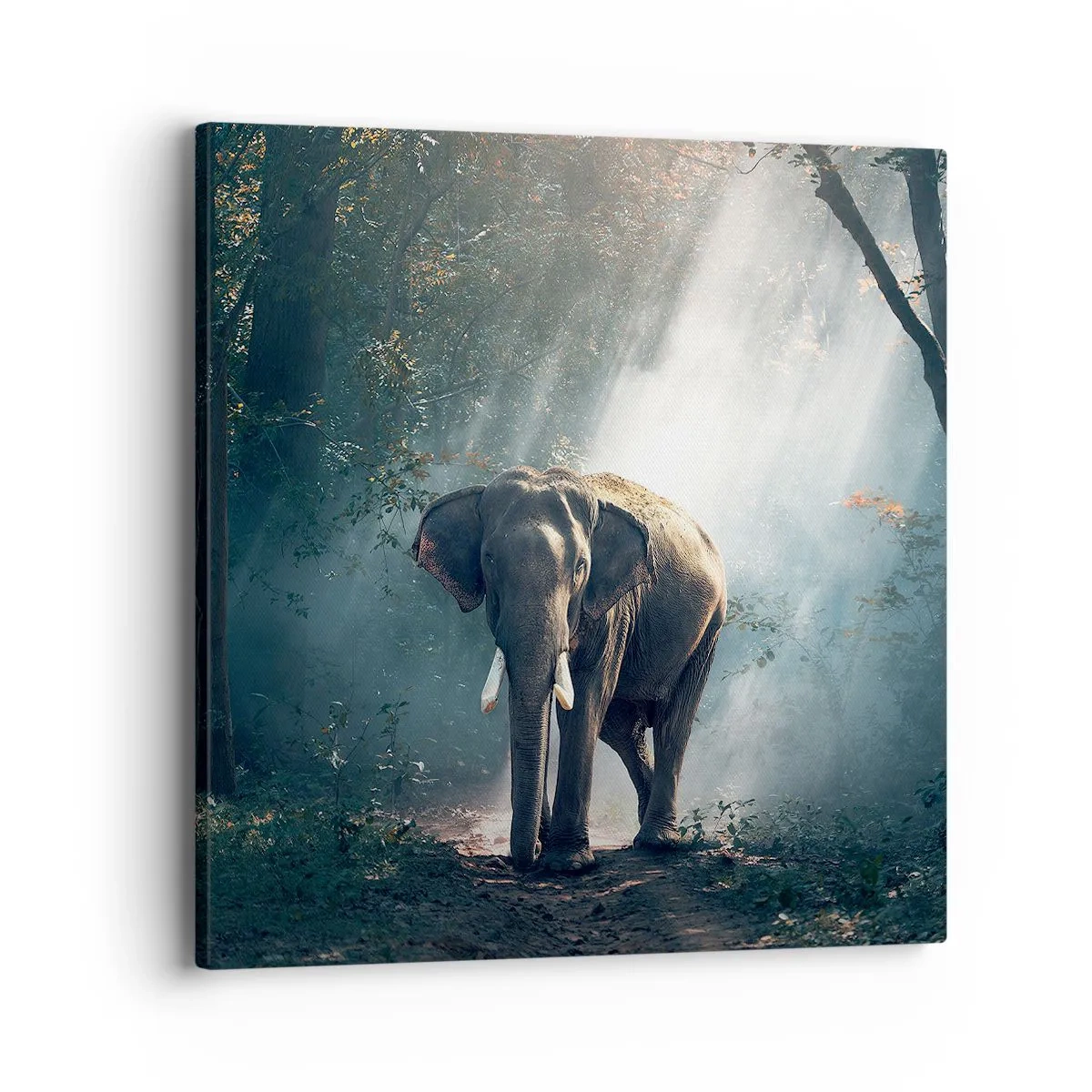 Bild auf Leinwand - Leinwandbild - Ein gemütlicher Spaziergang - 40x40 cm