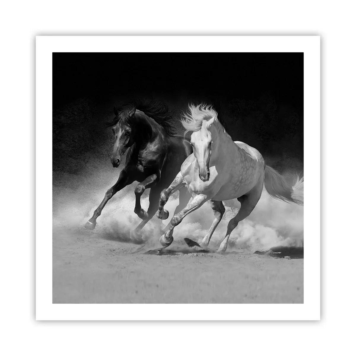 Poster - Galopp der Freiheit - 60x60 cm