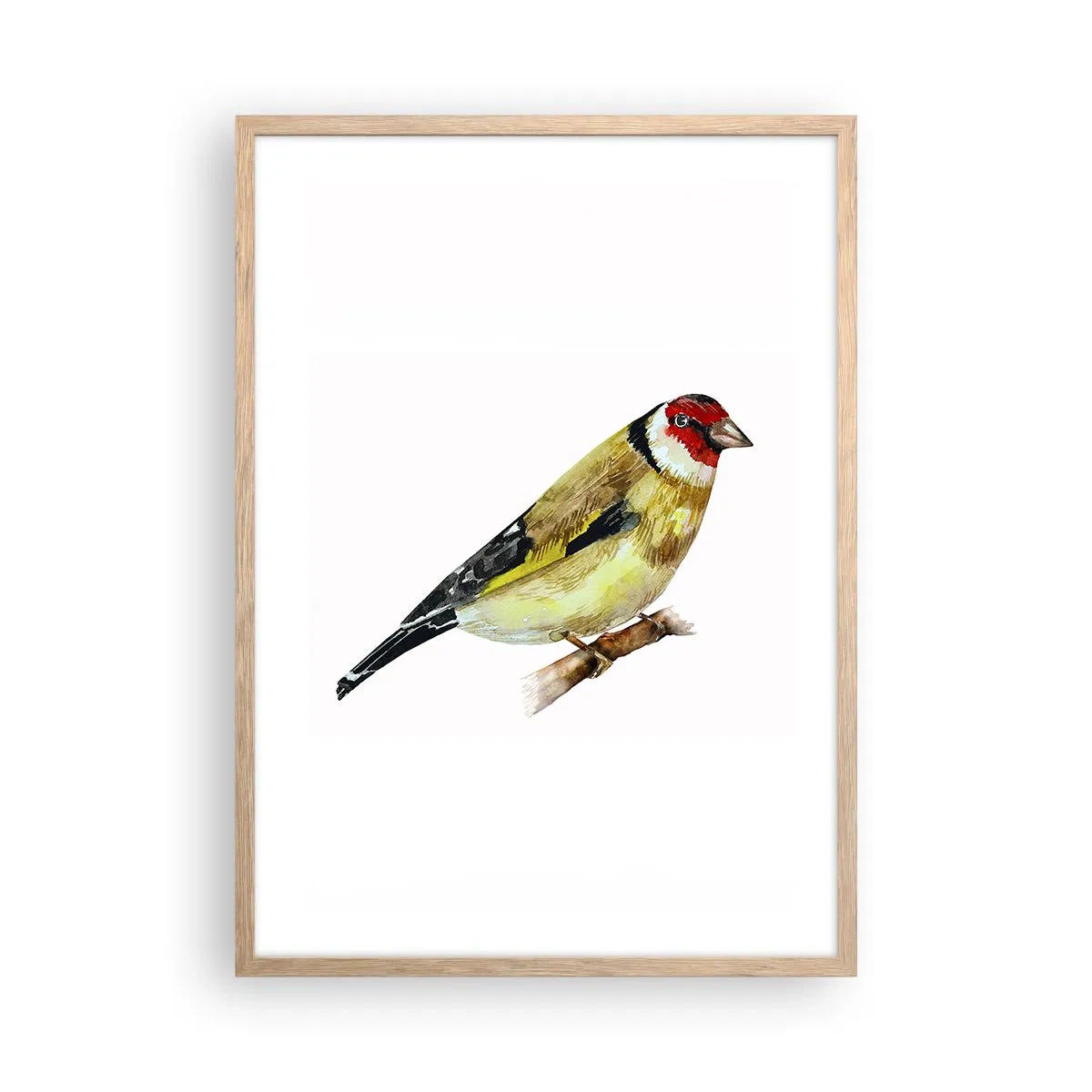 Poster in einem Rahmen aus heller Eiche - Vogelporträt - 50x70 cm