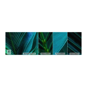 Fototapeten Muster Selbstklebend Deluxe Sticker - Die Anatomie des Grüns - Grüne Blätter, Tropische Pflanze, Natur - 100x30 cm
