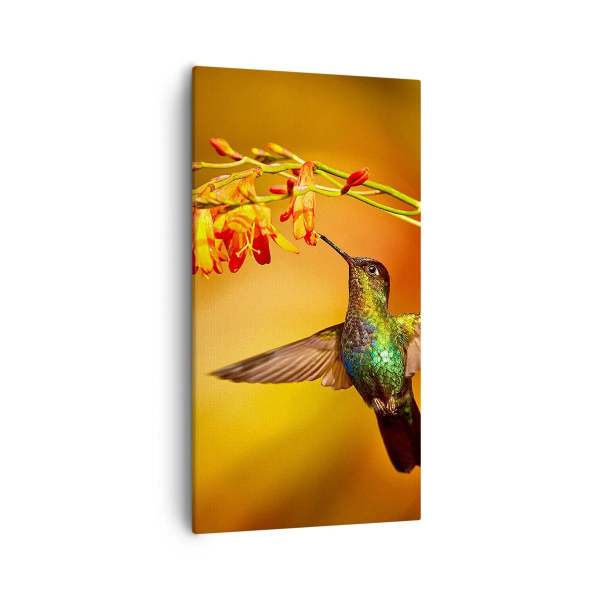 Bild auf Leinwand - Leinwandbild - Ein Lichtbote nach den Maya - 55x100 cm