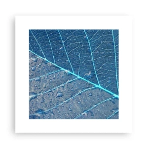 Poster - Leben in Blau - 30x30 cm